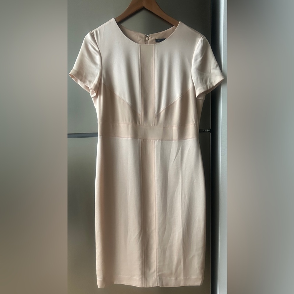 NWT Ann Taylor Blush/Champagne Sheath Dress Size 8